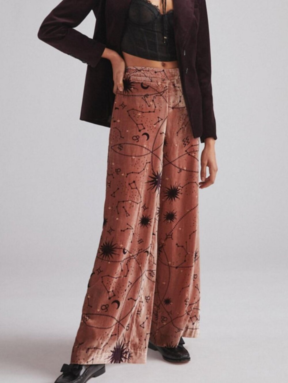 Anthropologie Embroidered Velvet Wide-Leg Pants Celestial Zodiac Brown Size 8 - Picture 3 of 13